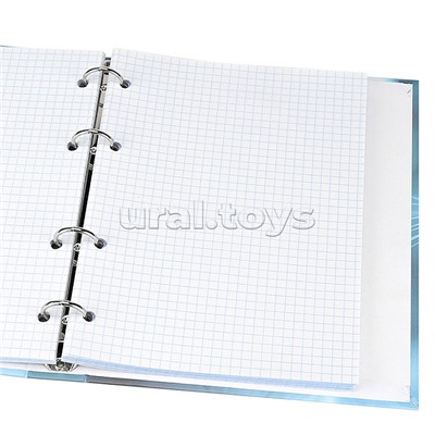 Тетрадь 80л. клетка "Голубоглазая кошка" на кольцах, глянцевая ламинац, лен