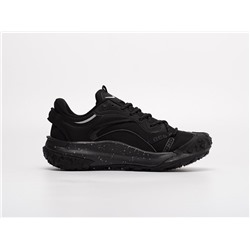 Кроссовки Nike ACG Mountain Fly 2 Low
