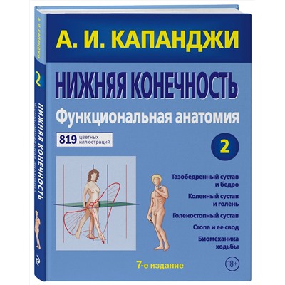 Эксмо А. И. Капанджи "Нижняя конечность: Функциональная анатомия (обновленное издание)"