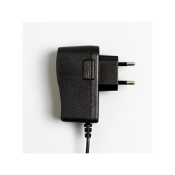 Гирлянда «Конский хвост» 10 нитей по 1 м, IP20, серебристая нить, 100 LED, свечение белое, 12 В