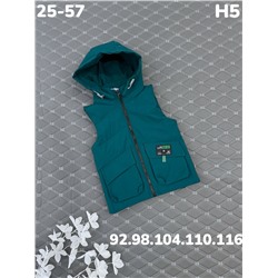 Жилет H5 зеленый