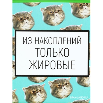 Ланч - бокс прямоугольный «Накопления», 500 мл