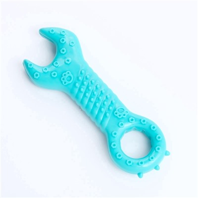 Массажная игрушка для собак «Ключ» 14 см, TPR, МИКС
