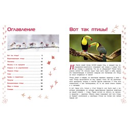 Эксмо "Птицы"