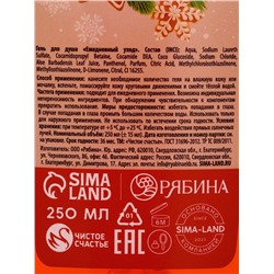Новогодний подарочный набор косметики «Новый год», гель для душа 250 мл и мочалка для душа, Чистое счастье