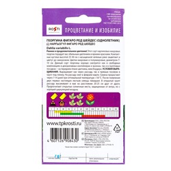 Семена цветов Георгина Фигаро Ред Шейдес Агроуспех 7шт (400)