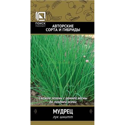 Лук  шнитт Мудрец (П)