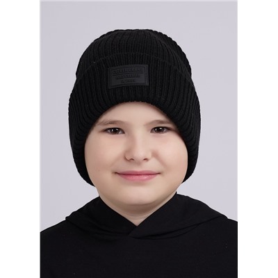 CLEVER Шапка