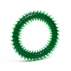 Игрушка для собак «Кольцо с шипами», 12.5 см, прозрачная, зелёная