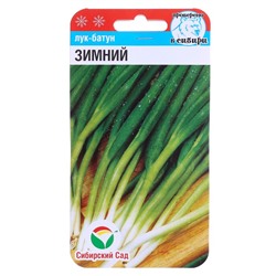 Семена Лук репчатый "Батун" Зимний, 1 г