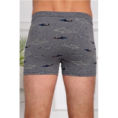 Трусы 64877 (Мультицвет)