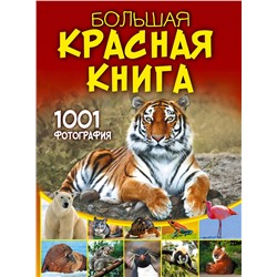АСТ Спектор А.А. "Большая красная книга. 1001 фотография"