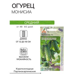 Семена Огурец, «Монисиа», F1, 8 шт., Seminis, «Агрос»