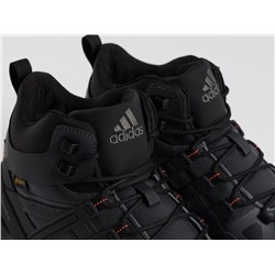 Зимние Ботинки Adidas Terrex Winter