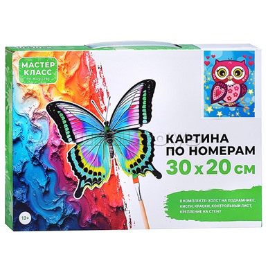 Набор для рисования "Картина по номерам 30х20 см. Сова"