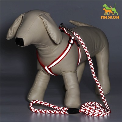 Шлейка с поводком «Плетенка», ОГ 32-48×1.5 с, поводок 115×1 см, флуоресцентная, красная