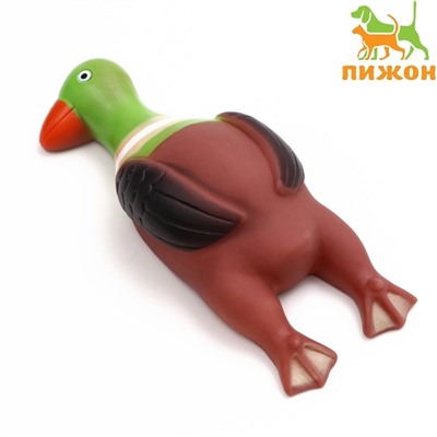 Игрушка пищащая «Скромная утка» для собак, 18×7×4 см, коричневая