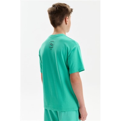 Футболка для мальчиков PELICAN, 1232824