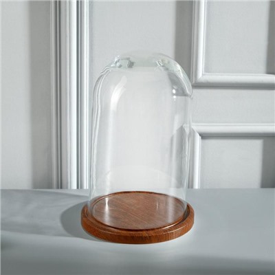 Стеклянный купол-клош на деревянной подставке «Венсан», 25×15 см, коричневый