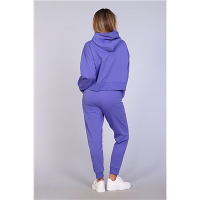 Спортивный костюм с брюками и кофтой 344