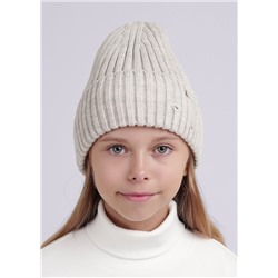 453007 CLEVER Шапка