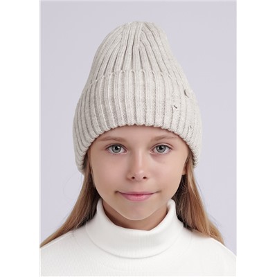 453007 CLEVER Шапка