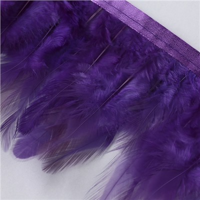 Перья петуха декоративные, на ленте, 10-15 см, 5±0.5 м, фиолетовые