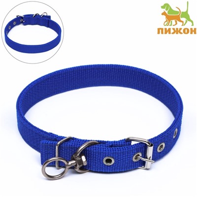 Ошейник двухслойный с вертлюгом, 55×2.5 см, полиэстер, синий