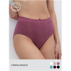 Omsa Трусы OmD 2231S Cotton Slip Maxi (трусы с поддерживающим эффектом), CO