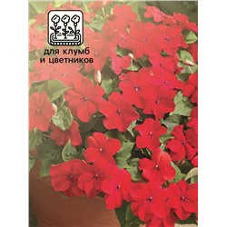 Семена Бальзамин «Супер Эльфин», F1, 10 шт., «Семена Алтая»