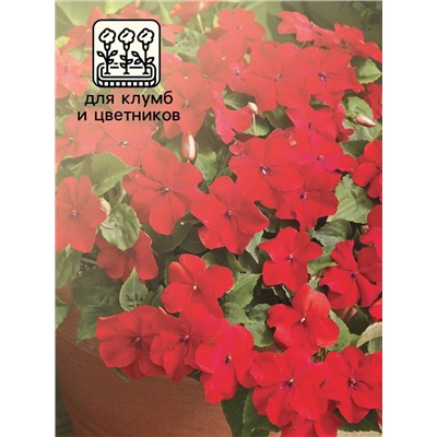 Семена Бальзамин «Супер Эльфин», F1, 10 шт., «Семена Алтая»