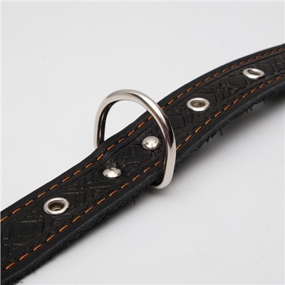 Ошейник кожаный тисненый однослойный, безразмерный, 3×60 см, ОШ 42-55 см, микс цветов