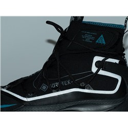 Кроссовки Nike ACG Air Terra Antarktik