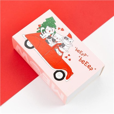 Носки женские новогодние KAFTAN Catmas размер 36-40 (23-25 см), набор 2 пары