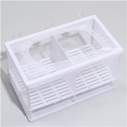 Отсадник большой, 26×15×15 см, с перегородкой и пластиковым дном