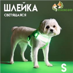 Шлейка светящаяся размер S, стропа 2.5 см, ОГ 32-40 см, 3 режима свечения зелёная
