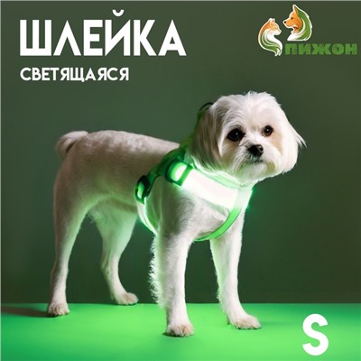 Шлейка светящаяся размер S, стропа 2.5 см, ОГ 32-40 см, 3 режима свечения зелёная