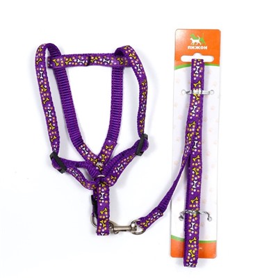 Шлейка с поводком «Звёздные косточки», 23-35 см, ширина 1 см, поводок 120 см, фиолетовая