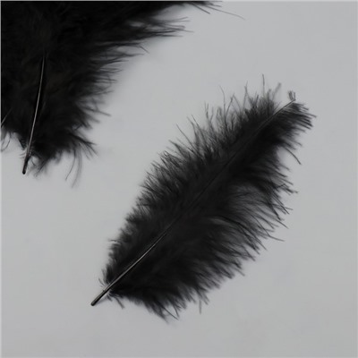 Перо декоративное гусиное пуховое "Чёрное" набор 100 шт h=10-15 см