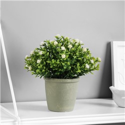 Искусственный цветок в горшке «Цветочная симфония», 8×17 см, МИКС