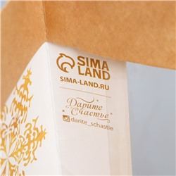 Пакет подарочный новогодний крафтовый с пластиковым окном Gold, 24×20×11 см