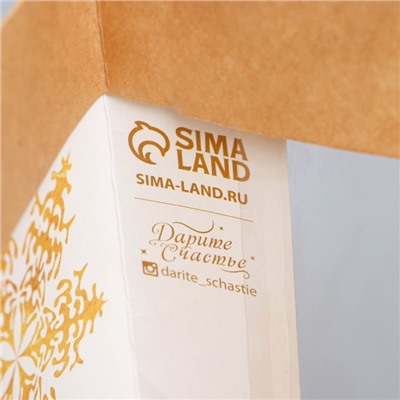 Пакет подарочный новогодний крафтовый с пластиковым окном Gold, 24×20×11 см