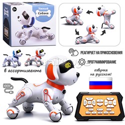 Собака "КиберЛап" в коробке