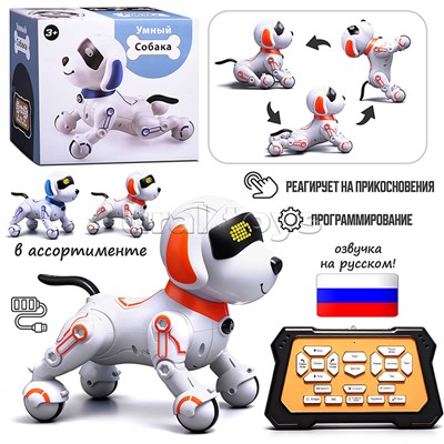 Собака "КиберЛап" в коробке