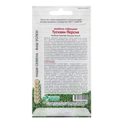 Семена цветов Вербена гибридная "Тускани Персик", 8 шт