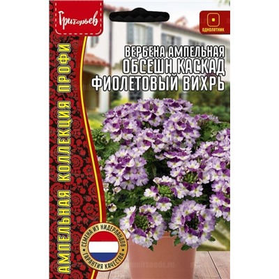 Вербена Обсешн Каскад Фиолетовый вихрь (Редкие)