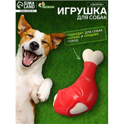 Игрушка для собак «Окорок» Пижон Premium, 11.5 см, TPR+нейлон, микс цветов