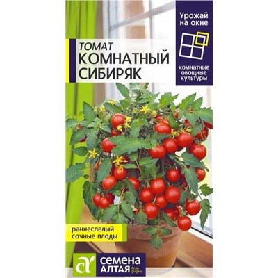 Томат Комнатный Сибиряк