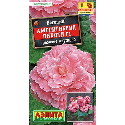 1324A Бегония Америгибрид Пикоти F1 розовое кружево 5 шт