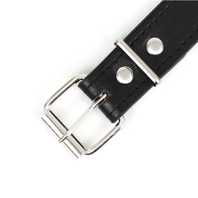 Ошейник «Сириус», 56×3 см, ОШ 42-52, с заклёпками, искусственная кожа, чёрный